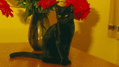 DEUTSCHE ROMANTIK dr3